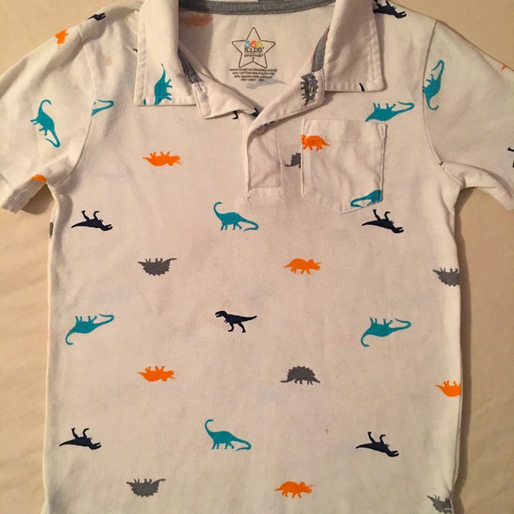 Boys Dinosaur shirt